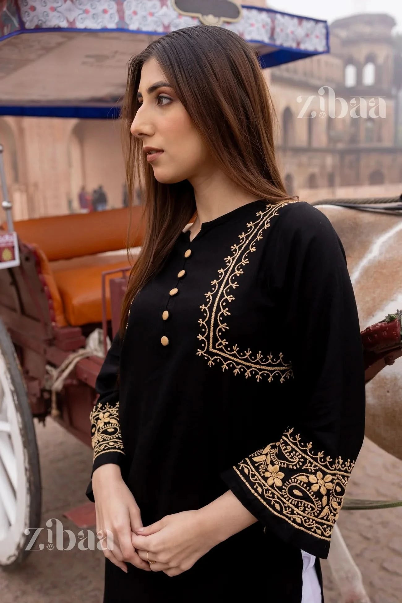 Outdoor shot of woman in black chikankari kurti beside a traditional horse cart.